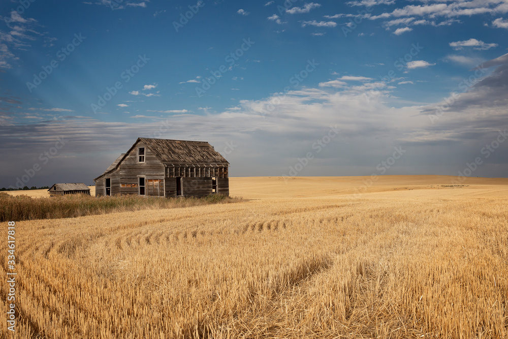 Montana abandoned home Montana abandoned home