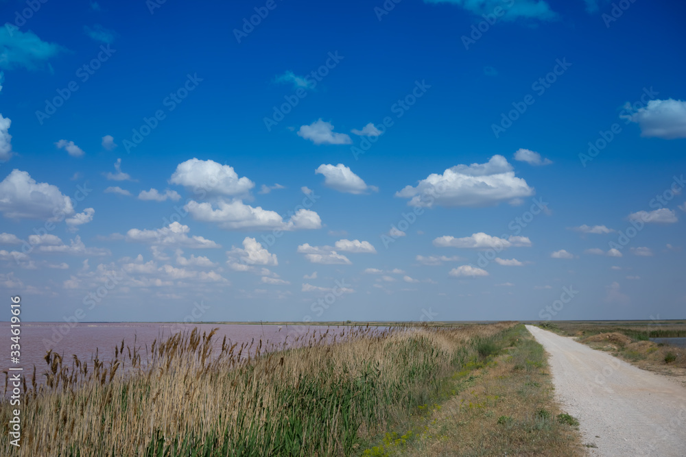 White clouds over the pink salt lake