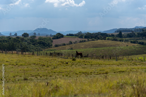 Landscapes of rural livestock fields in the pampa biome region in southern Brazil © Alex R. Brondani