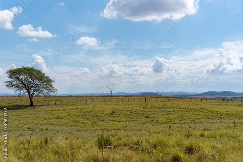 Landscapes of rural livestock fields in the pampa biome region in southern Brazil