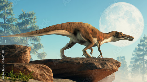 Baryonyx was a large carnivorous spinosaurid theropod dinosaur that lived in Cretaceous era Europe. It likely at fish and was semi-aquatic. Depicted on a cliff in front of the full moon. 3D Rendering  photo