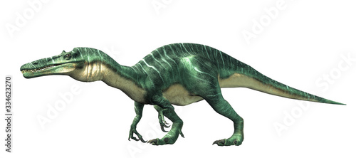 Suchomimus was a large carnivorous spinosaurid theropod dinosaur that lived in Cretaceous era Africa. It likely at fish and was semi-aquatic. On a white background. 3D Rendering 