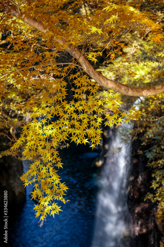 Fototapeta Naklejka Na Ścianę i Meble -  Takachiho Gorge, Miyazaki, Japan. November 16, 2019 :  It's known where a trail follows the Gokase River, also accessible by boat, past Manai Falls. 