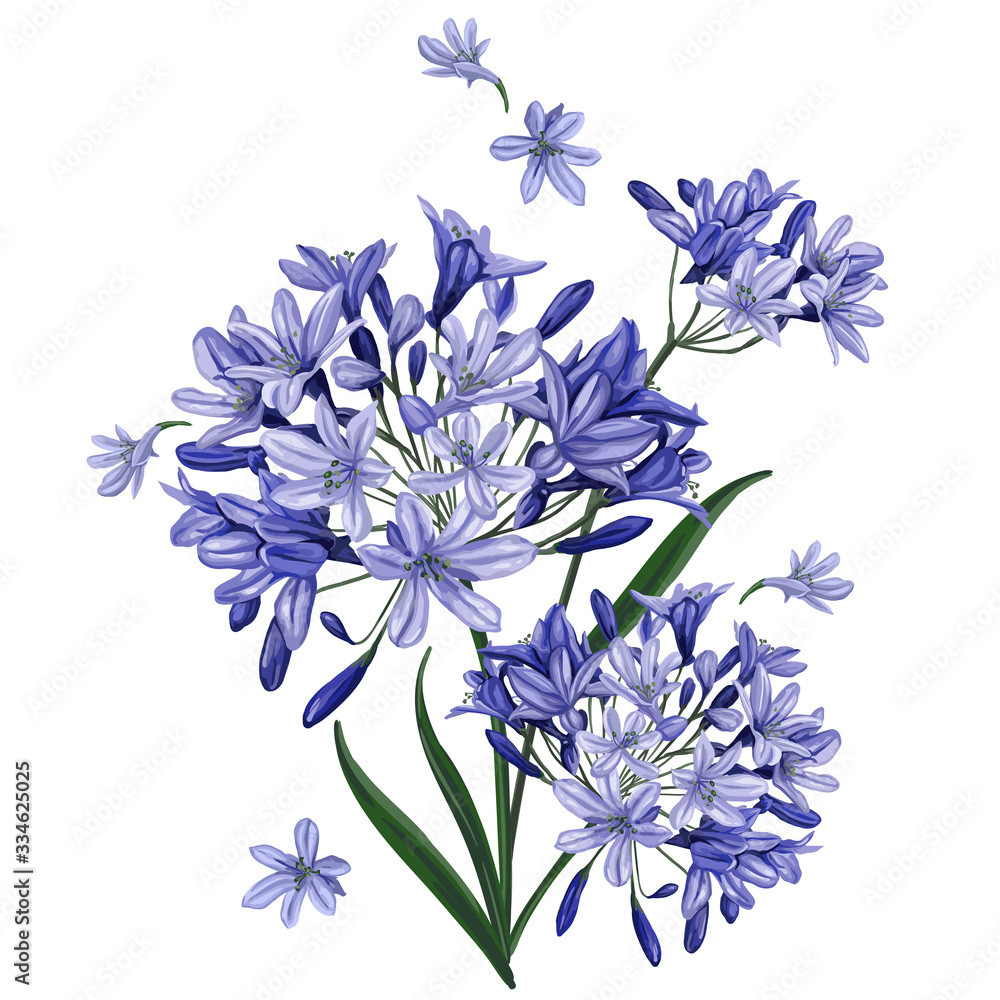 bouquet of blue flowers bouquet of blue flowers