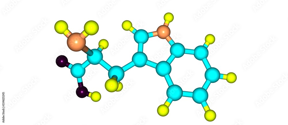 Tryptophan molecular structure isolated on white Tryptophan molecular structure isolated on white