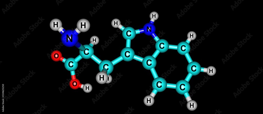 Tryptophan molecular structure isolated on black