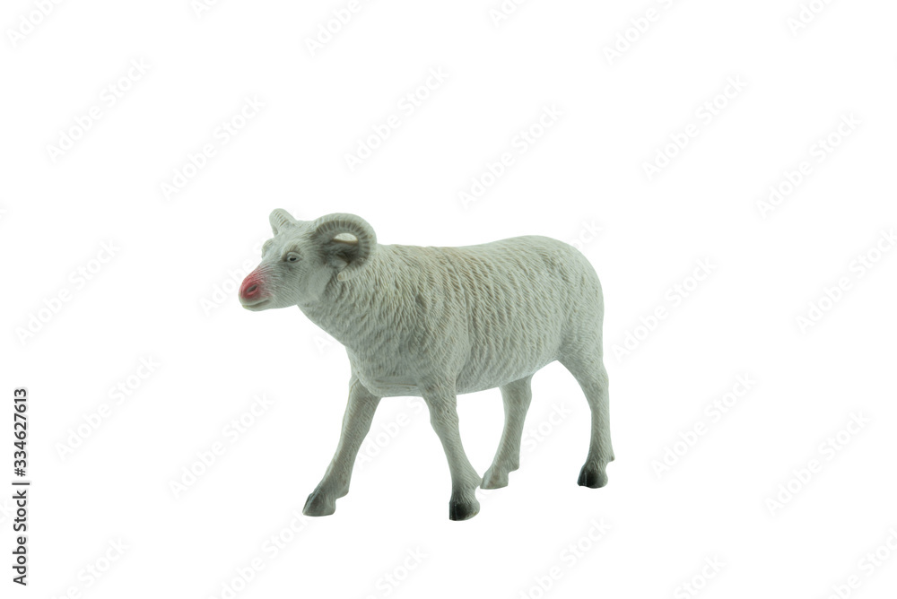Obraz premium Sheep toy