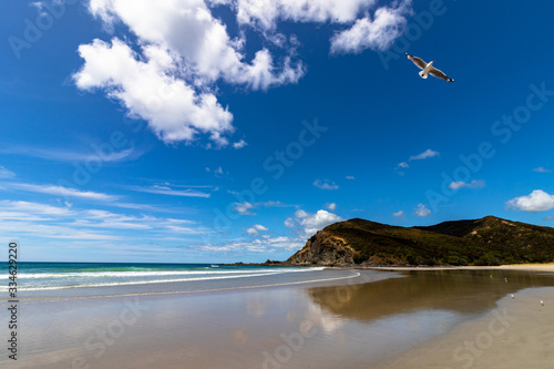 spirits bay near cape reinga