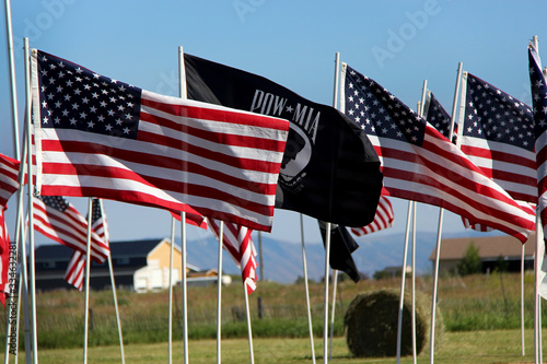 usa and american flags