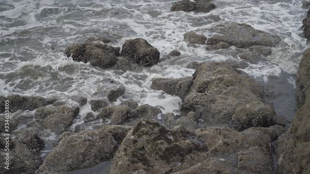 Waves crashing on the rocks and the tidepools in Tofino British Columbia Canada Waves crashing on the rocks and the tidepools in Tofino British Columbia Canada