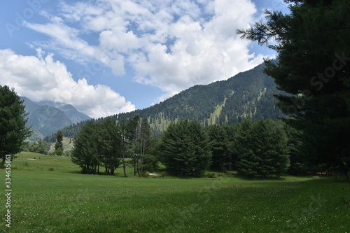 landscape in the mountains