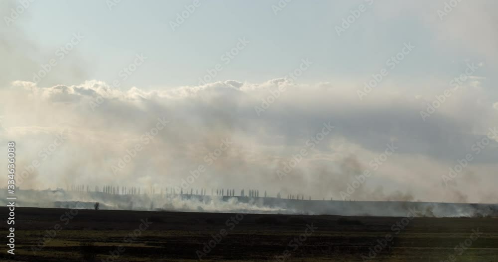 Lots of smoke in the field after the fire timelaps Lots of smoke in the field after the fire timelaps