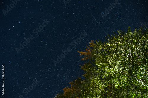 Sky stars and tree