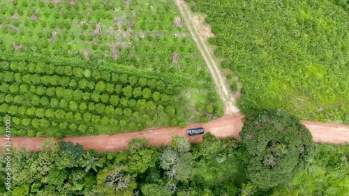 Aerial view of car driving throuh a small dirt road in the middle green tropical valley and farmland. Brazil photo