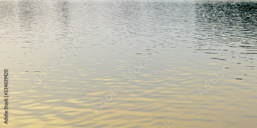 Tranquil standing water surface. Natural pattern texture and colour. Sunlight reflection summer sunset. Nature photography background. Copy space room for text on front side.