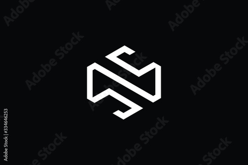 Minimal elegant monogram art logo. Outstanding professional trendy awesome artistic SN NS initial based Alphabet icon logo. Premium Business logo White color on black background