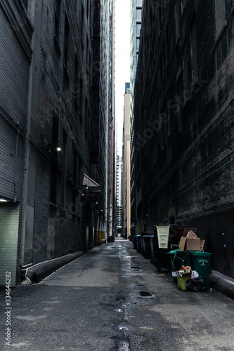 Wallpaper Mural Chicago on Stay-At-Home Order Due to the Coronavirus (Covid-19) Torontodigital.ca