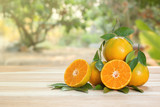 Many tangerines placed on a wooden table in the garden
