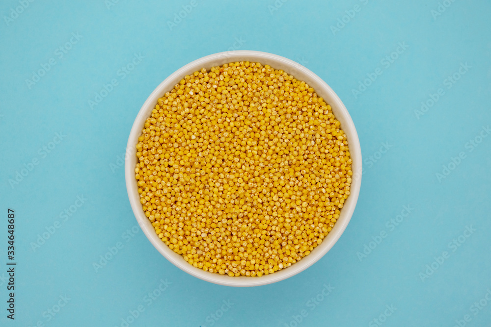 Dry millet in white ceramic bowl isolated on blue. Spilled millet.