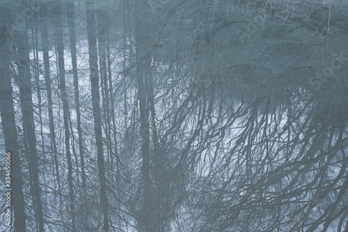 Wallpaper Mural 水辺に映る林 Torontodigital.ca