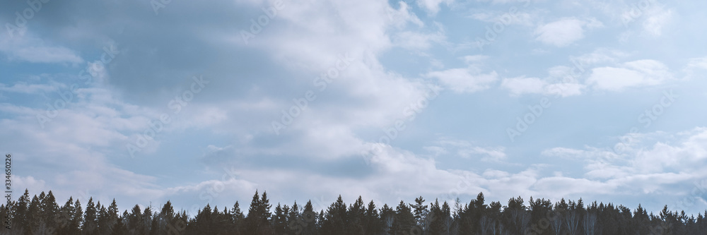 Nature background. Wallpaper pattern. Dark scary park. Landscape misty panorama. Sky with clouds.Stock photo. Nature background. Wallpaper pattern. Dark scary park. Landscape misty panorama. Sky with clouds.Stock photo.