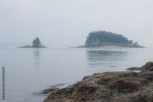 Wallpaper Mural 海辺 Torontodigital.ca