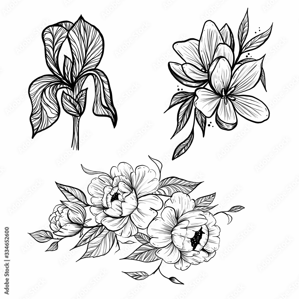 Flowers black and white graphics on a white background isolated for decoration, invitations