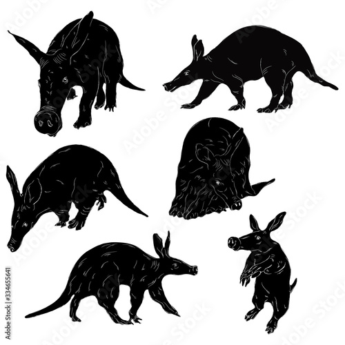 Animal Wildlife Aardvark Silhouette Set Ver2 