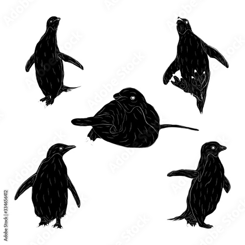 Animal Wildlife Adelie Penguin Silhouette Set Ver2