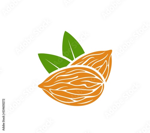 Almond logo. Isolated almond on white background