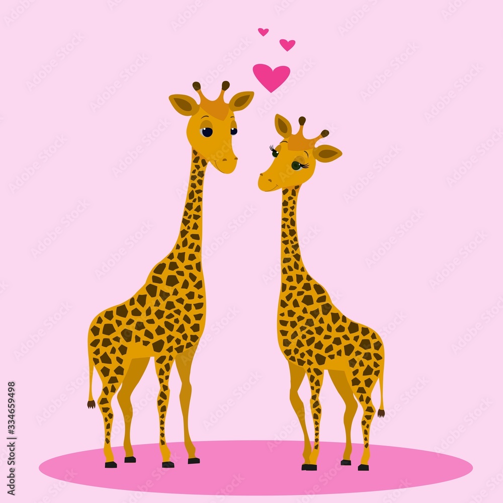 Two cute giraffes are happy because they are in love with each other. Vector Illustration. Isolated on pink background