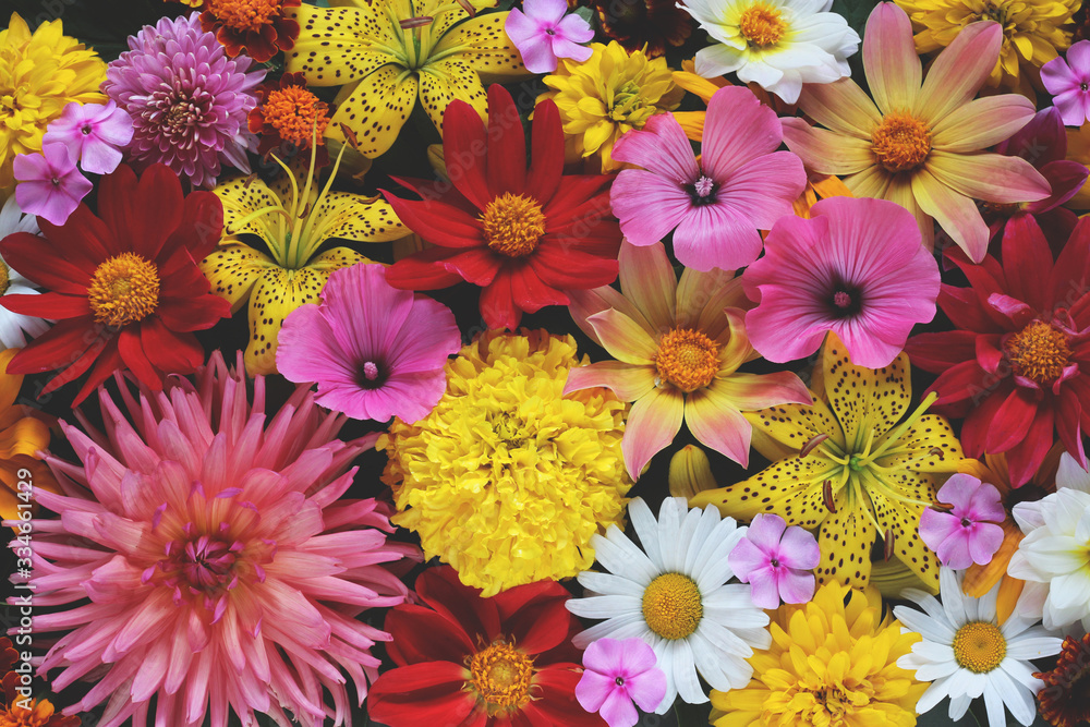Floral background, top view. beautiful backdrop Floral background, top view. beautiful backdrop