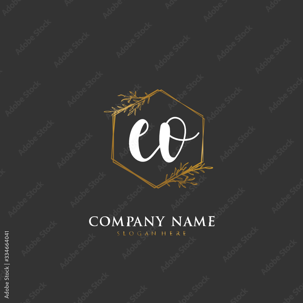 Handwritten initial letter E O EO for identity and logo. Vector logo template with handwriting and signature style.