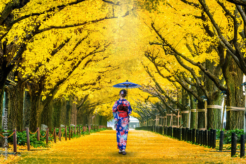 Photography Beautiful girl wearing japanese traditional kimono at row of yellow ginkgo tree in autumn