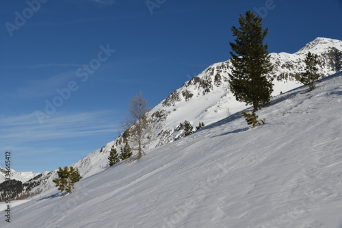 Staller Sattel, verschneit, zugeschneit, Osttirol, Tirol, Winter, Jahreszeit, Schnee, Eis, Schneedecke, Wald, Alpen, Villgrater Berge, Defereggen, Deferegger Alpen, Grenze, Österreich, Italien, Südtir photo