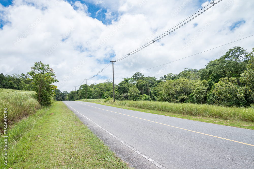 Asphalt road on beautiful tropical rainforest in Khao Yai national park, Thailand - Travel holiday and save environmental concept. Asphalt road on beautiful tropical rainforest in Khao Yai national park, Thailand - Travel holiday and save environmental concept.