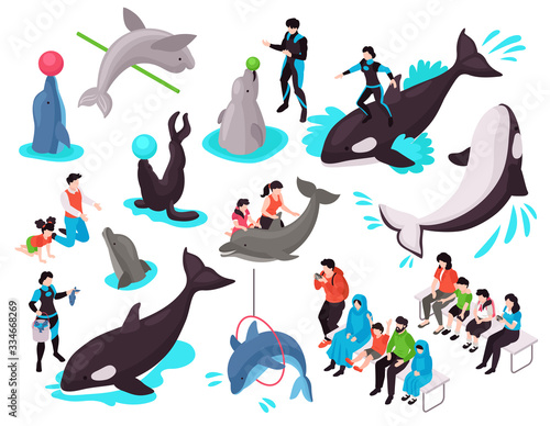 Show In Dolphinarium Isometric Set