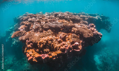 Coral reef formations in clear blue water