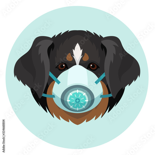 Vector mountain dog wearing resperator for pets icon, novel coronavirus awareness