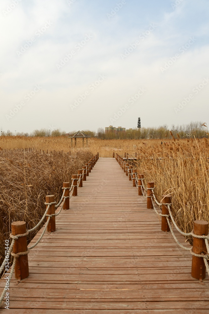 Wooden bridge in the golden field on sunny day, autumnal rural field Wooden bridge in the golden field on sunny day, autumnal rural field