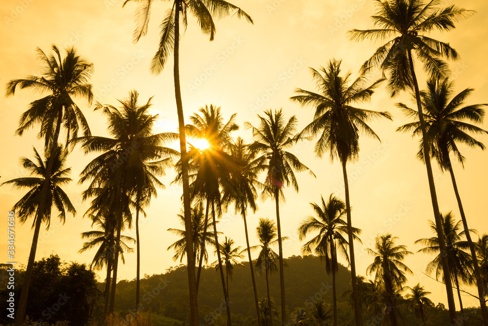Beautiful silhouette coconut palm tree forest in sunset evening golden sunlight background. Travel tropical summer beach holiday vacation or save the earth, nature environmental concept.