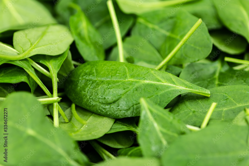 Portion of fresh Spinach (close-up shot)