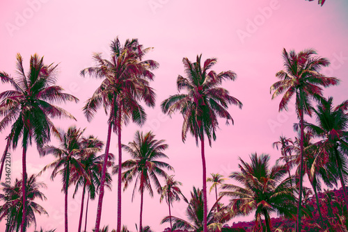 Beautiful silhouette coconut palm tree in sunshine day sky background. Color fun tone. Travel tropical summer beach holiday vacation or save the earth, nature environmental concept.