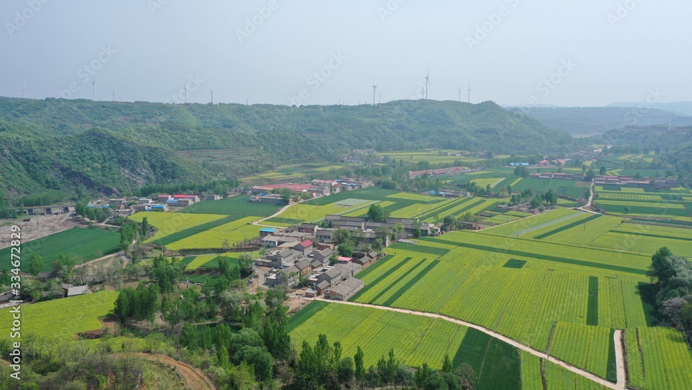 Aerial view of Chinese countryside, yellow rapeseed fields