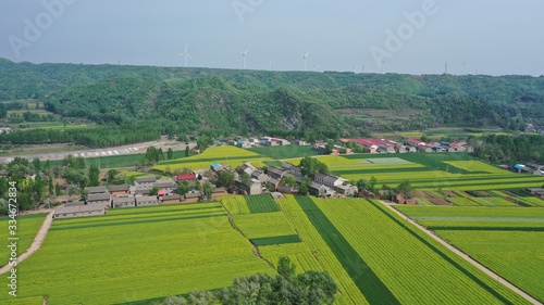 Aerial photography of villages in a valley and yellow rapeseed fields, beautiful rural scenery
