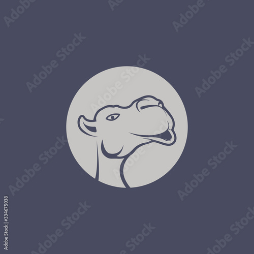 Camel logo vector design template