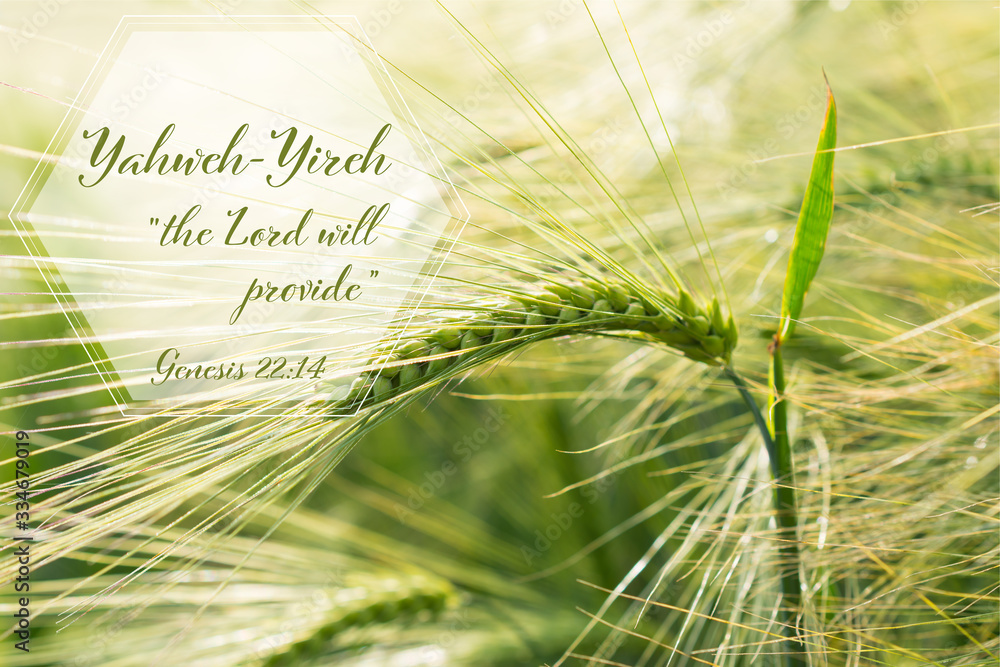 Christian Verse Bible Genesis 22 14 Saying The Lord Will Provide christian-verse-bible-genesis-22-14-saying-the-lord-will-provide