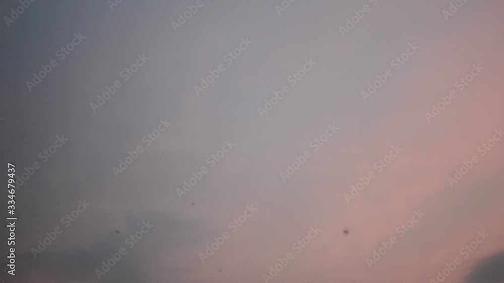 Sunset in the sky, flying swallows Sunset in the sky, flying swallows