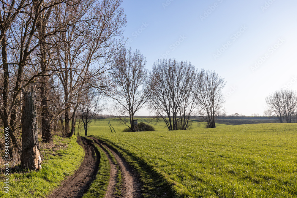 Feldweg Road auf dem Land mit Acker und Bäumen