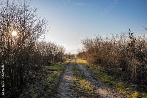 Langer Feldweg Wirtschaftsweg bei Sonnenuntergang